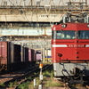 2024年　10月を振り返る