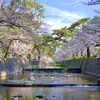 【写真】さくらの名所100選「夙川河川敷緑地」【兵庫】