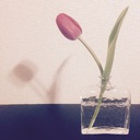 森永ミーム日記