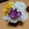 菊のアレンジメント…