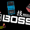 BOSSの"技"シリーズ - DM-2W & VB-2W