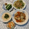 2024年11月　春雨と野菜の炒め物