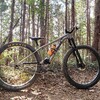 【愛車紹介】TREK STACHE5