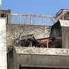 秋葉原の屋上神社（詳細不明）