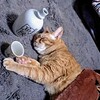 自己満足は潰れるの(￣0￣)