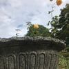 旧古河庭園のバラ　Kyu Furukawa garden's roses