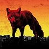 Get Your Fight On/The Prodigy