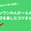 【ワンワンわんだーらんどの楽しみ方】当日のコンサートを楽しむ7つのコツ