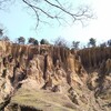 イカナゴの釘煮を求めて淡路島へ！