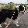アイ君、暑さに負けずに！