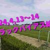 2024,4,13～14 トラックバイアス結果 (中山競馬場、阪神競馬場、福島競馬場)