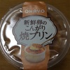 OHAYO 新鮮卵のこんがり焼きプリン 2019.3.7