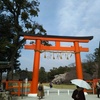 上賀茂神社とカルガモ夫婦