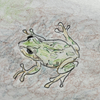 ヒョウ柄の秘密