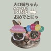 メロ姉ちゃんのお誕生日