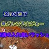 2019年は高知県土佐清水市松尾エリアの名磯オキウスから始動！動画もあるよ～