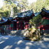 冬の開運！箱根旅『箱根神社と九頭龍神社（新宮）』