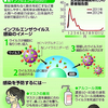 インフルエンザ… 今年はＡ香港型が９割