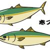 魚なのに出世？ 出世魚ぶりの栄養成分