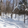 休日　Mont-tremblant Snowshoeing