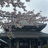 善光寺(東京都港区)の桜｜桜の穴場スポット（開花状況、見どころ、アクセス）