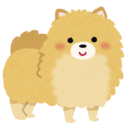 ポメラニアンアウトプッツ