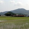 田植えを背景に相南電車と　JR四国