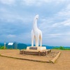 陣馬・高尾 山歩き