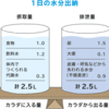 冬の体は水分不足