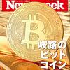 Newsweek (ニューズウィーク日本版) 2021年04月13日号　岐路のビットコイン／スエズ座礁事故が教えること