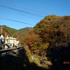 大山川〜大山の紅葉