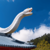  ランニングと相性ぴったり！今年の干支「蛇」にまつわる名古屋の神社。