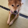 考えないといけないことが山積み！だからこそ寝る