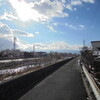 志奈埜市神社〜善光寺〜犀川河川敷(21km)