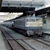 ＥＦ６５５１４　Ｆ型いいですね！