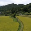 兵庫県）妙見口→初谷渓谷→妙見山→上杉尾根→妙見口