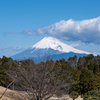 伊豆マリオット修善寺に泊まる小旅行