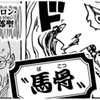 ワンピースと日本史⑧五老星の能力は日本の妖怪馬骨か？