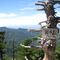 横手山で360度絶景パノラマ🚶ハイキングコースを歩く