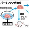 ｉＰＳ細胞:パーキンソン病臨床へ