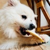 【539日目】毎日平和だなぁ