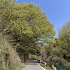 春風に背中を押されて