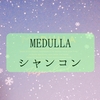 MEDULLA/パーソナライズ シャンプー・リペアを頼んでみたよ