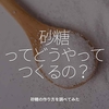 673食目「砂糖ってどうやってつくるの？」砂糖の作り方を調べてみた。