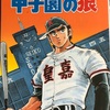 甲子園の狼　1981年