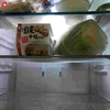 汚れ落とし・師走の冷蔵庫を制するものは食費を制す