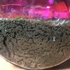 ケラ幼虫とジャコ