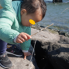 小さい子供でもできる！葛西臨海公園でのカニ釣り　季節問わず遊べます♡