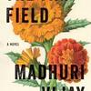 Madhuri Vijay, The Far Field (Grove Press, 2019)