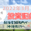 【2022年3月】配当金30万円で沖縄旅行を目指す「うぃーずの投資記録」【QYLD／HDV】